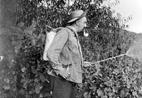 Le pulvérisateur Vermorel, plus connu sous le nom de sulfateuse, créé par l'ingénieur agronome de Villefranche-sur-Saône, fut utilisé par des générations de vignerons.
