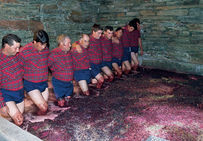 Foulage traditionnel du raisin chez W&J Graham à Vila Nova de Gala (Portugal). Cette technique de foulage collectif est restée identique au cours des périodes de l'histoire.