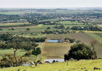 Une théorie devenue paysage : dans la vallée de la Barossa, haut lieu de la viticulture australienne, le parcellaire d'une parfaite géométrie contraste avec les collines des Monts Lofty (au premier plan) réservées au pâturage.