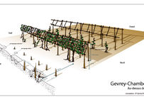 Hypothèse de restitution de la vigne gallo-romaine de Gevrey-Chambertin sur le site Au-dessus-de-Bergis, avec son système de palissage oblique.