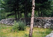 Tartonne. Sources salées de la Salaou : digue monumentale en appareil de type cyclopéen destinée à contenir les crues du torrent.