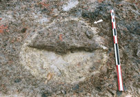 Base d'une cuve à saumure.