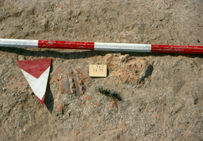 Fragments de céramiques. Fouilles d'Isola di Coltano, Pise (Italie), 1997-2002.