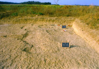 Démarcation de la ligne de marée. Fouilles d'Isola di Coltano, Pise (Italie), 1997-2002.