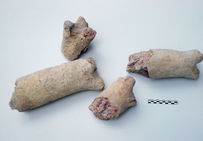 Piliers trifurqués : sorte de piliers d'environ 30 cm de hauteur dont une extrémité est trifide (qui a trois divisions). Cet objet a été imaginé dans diverses proposition de restitution de fourneau à sel ou à savon.
