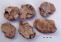 Boulettes de calage des récipients. La trace des angles de ceux-ci s'observe par 2 ou 4.