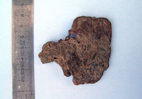 Coulée de métal plombifère. Résidus fondus pouvant provenir d'une poêle en plomb surchauffée, utilisée pour évaporer la saumure.