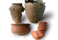 Fragments de poteries gauloises et d'amphore romaine sur le site d'Actiparc, dans la Somme.