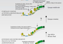 La production de sel dans le Jura : impact sur l'espace forestier du Néolithique à l'époque médiévale.