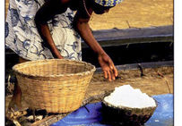 Récolte du sel au Bénin, lagune, environs de Ouidah.