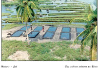 Salines solaires au Bénin, région de Ouida