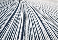 Trace de salage sur une route en hiver.