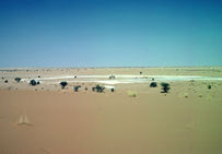 Dépôts de sel, Niger, 1987.