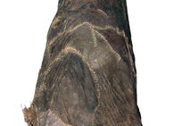 Bonnet fourré. VIIIe-IIIe s. avant notre ère. Hauteur : 30 cm. Fouilles Kromer.