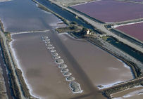 Les Salins d'Aigues-Mortes.