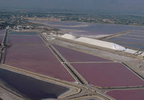 Les tables salantes, Salins d'Aigues-Mortes.