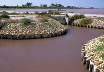 Les tables salantes, Salins d'Aigues-Mortes.
