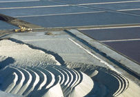Vue des camelles, Salins de Giraud.
