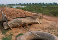 Dispositif de fabrication du sel par ignifugation : au premier plan, réservoir ouvert de récupération des eaux saumâtres ayant percolé à travers un massif de sol salé, disposé dans un tronc d'arbre évidé...